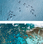 Sand Free Beach Towel
