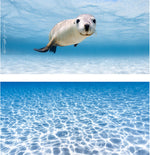 Sand Free Beach Towel