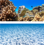 Sand Free Beach Towel