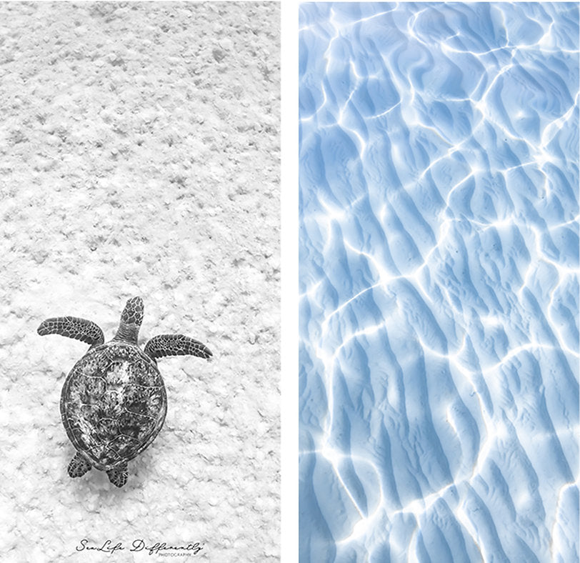 Sand Free Beach Towel